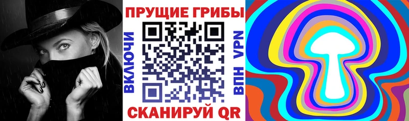 Псилоцибиновые грибы MAGIC MUSHROOMS  хочу   Ершов 